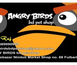 ANGRY BIRDS bd pet shop | Dhaka