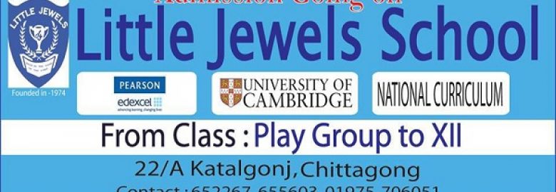Little Jewels School