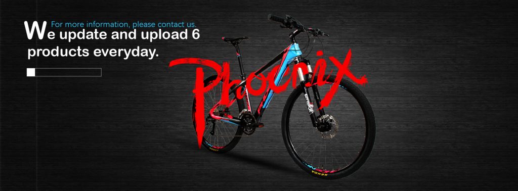 Phoenix Bicycle Price in Bangladesh