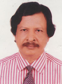 Prof. Dr. AKM Anwar Ullah