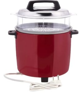 Panasonic SR-W22GS Automatic Rice Cooker with Steamer 